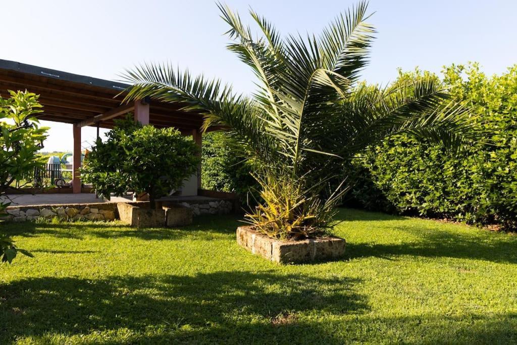 Casale Toscano Piscina Wi-Fi Capannori Exterior photo